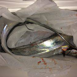 爆風＆爆うねり